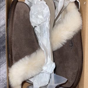 NIB cocoa brown Ugg slippers! Size 8, fast shipping! Super cute!